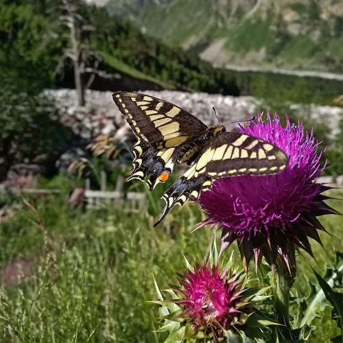 Треккинг налегке у подножия священной горы Уллу-Тау (комфорт размещения на выбор)