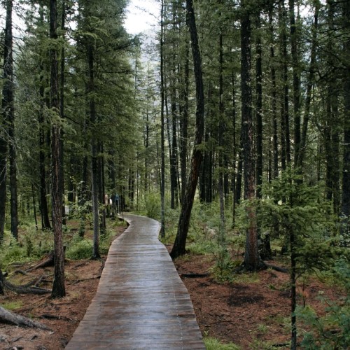 Неделя на Алтае: Телецкое озеро, Катунь и Чуйский тракт в мини-группе