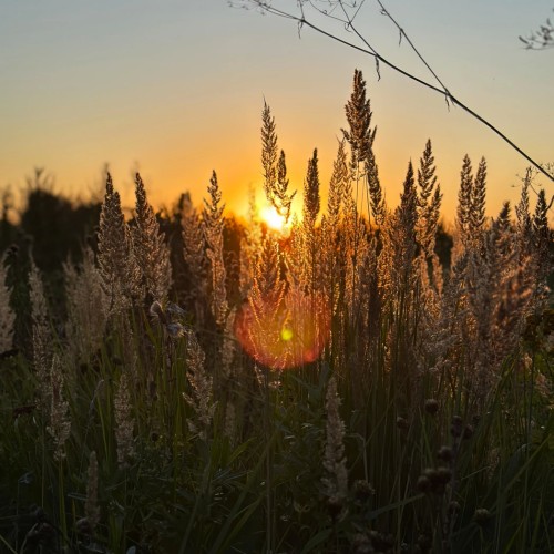 Выходные на Угре: рыбалка с обучением и отдых на природе (всё включено)