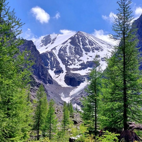К ледникам: треккинг налегке в ущелье Актру с проживанием на турбазе