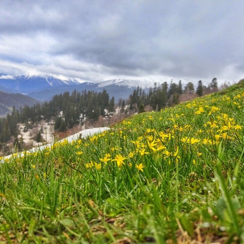 Треккинг налегке по Архызу с проживанием в гостинице