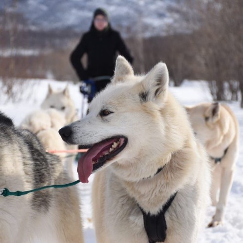 Камчатские удовольствия в мини-группе: природа, погружение в культуру и релакс в источниках