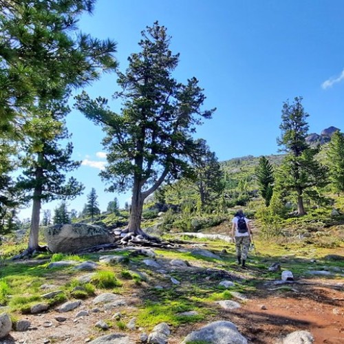Сказочные Саяны: треккинг в природном парке «Ергаки»