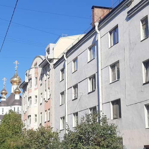 Мобильный квест в Петербурге «Сбежавший зоопарк на Петроградке»