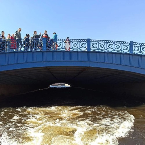 В Питере — плыть!