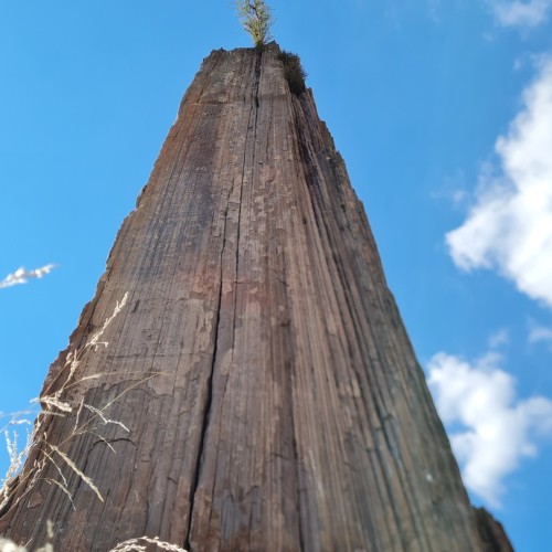 Спа-отпуск в Хакасии: перезагрузка, детокс, экскурсии с персональным сопровождением