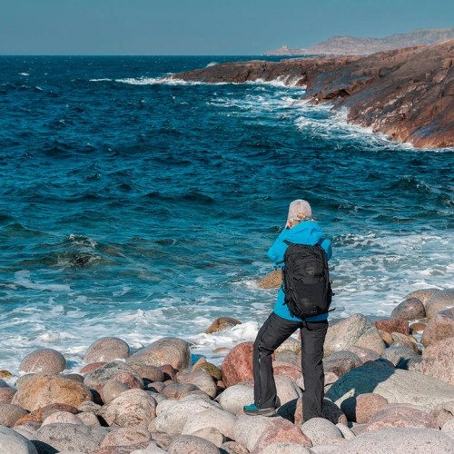 За атмосферой Арктики: тур из Мурманска в Териберку с дегустацией и прогулками по главным местам