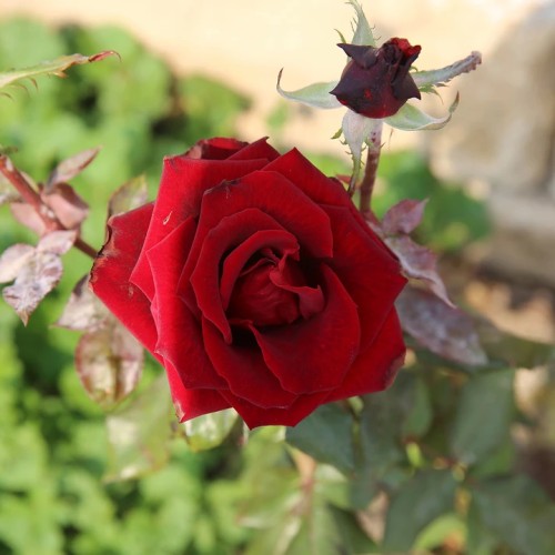 За раз весь Северный Кавказ: большое путешествие по всем республикам