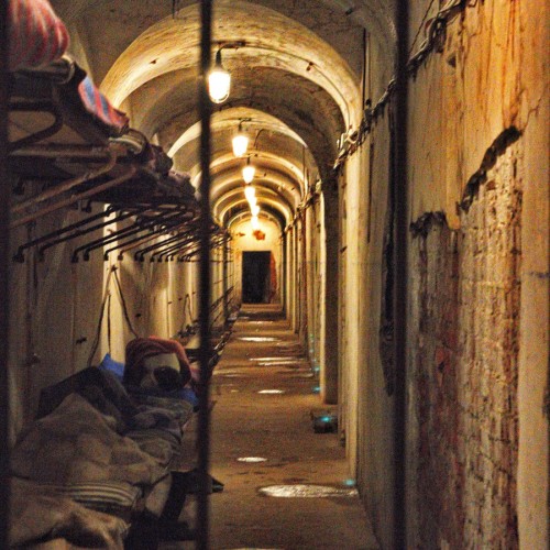 Из Петербурга — к фортам «Красная Горка», «Риф» и «Константин»