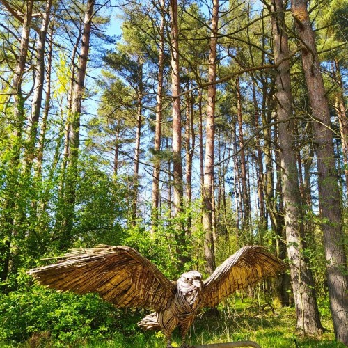 Тайны Куршской косы