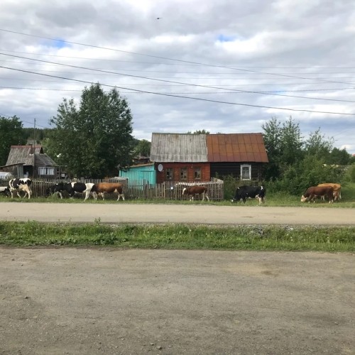 В старинное уральское село Мариинск