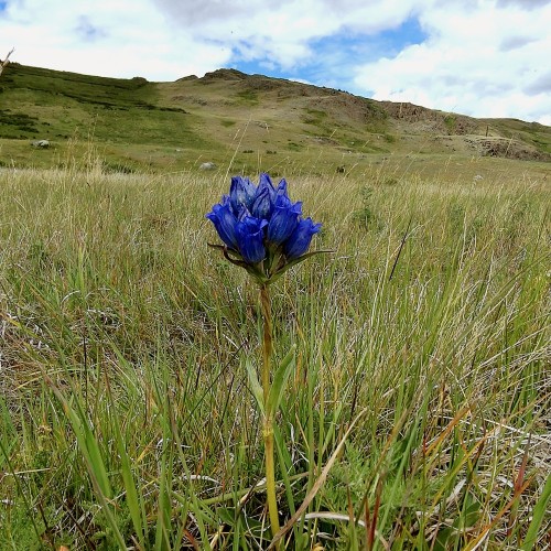 Треккинг по хребту над долиной Катуни