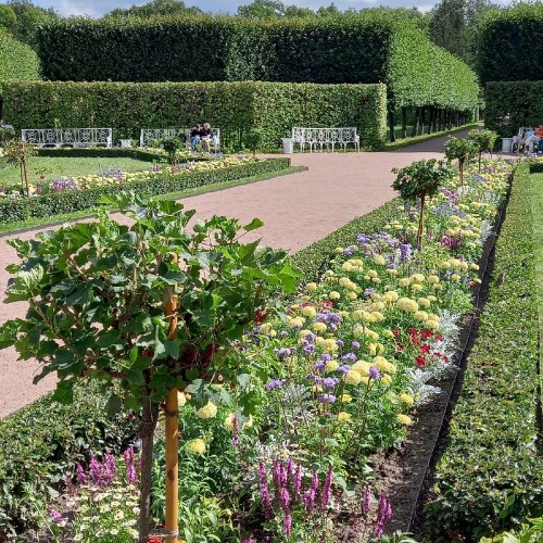 Царское Село — город гусарский, военный, имперский