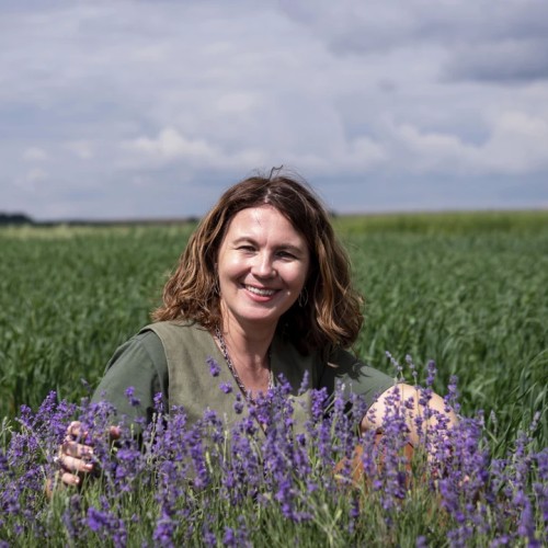 Со вкусом вина и ароматом лаванды: в Липецкую и Тульскую области из Москвы