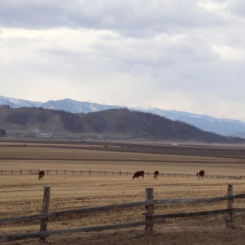 По озёрам, горам и степям с комфортом: 4 дня на Алтае
