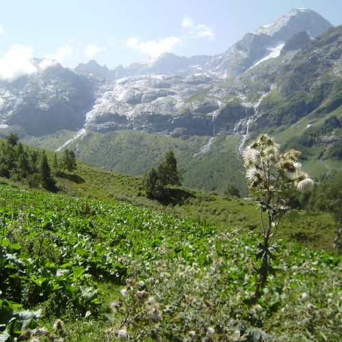 Треккинг-тур в Архыз с комфортом: прогулки в горах налегке с проживанием в гостевом доме