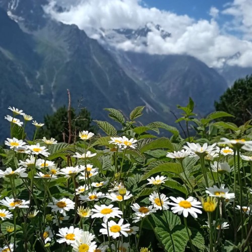 Треккинг в Цейском ущелье налегке с проживанием в гостинице (всё включено)