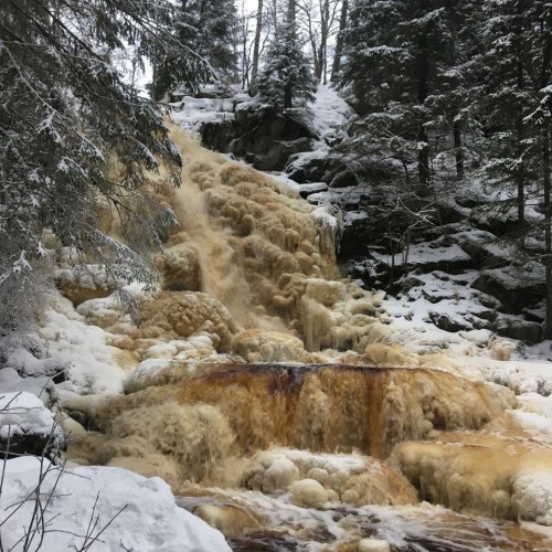 Рыбалка на Ладожском озере: перезагрузка вдали от города с комфортом (всё включено)