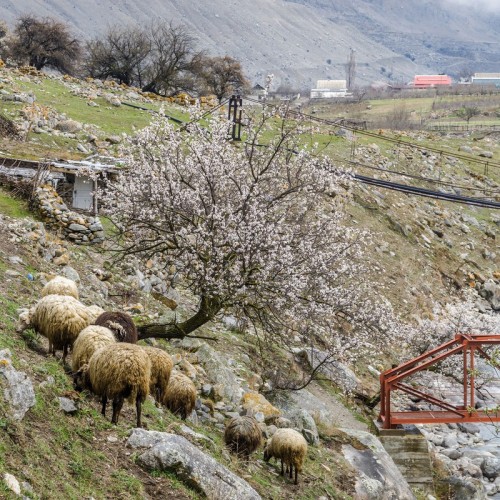 В Кабардино-Балкарию из Кисловодска — в мини-группе