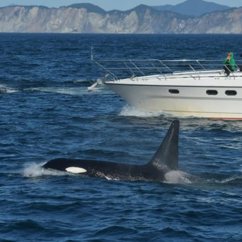 Экспедиция по Камчатке с восхождениями на вулканы, морской прогулкой и рыбалкой