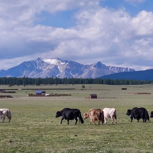 Подальше от цивилизации к озеру Хубсугул: индивидуальная поездка по Северной Монголии из Иркутска