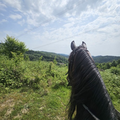 Приключения на лошадях в Сочи для новичков и опытных: по ущельям, долинам и лесам