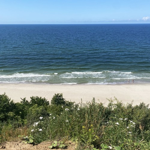 Перезагрузка в экоотеле на побережье Балтики и экскурсия по Янтарному