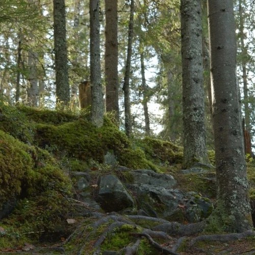 Путешествие из Петербурга в Рускеалу на Ласточке и ретропоезде (лайт)