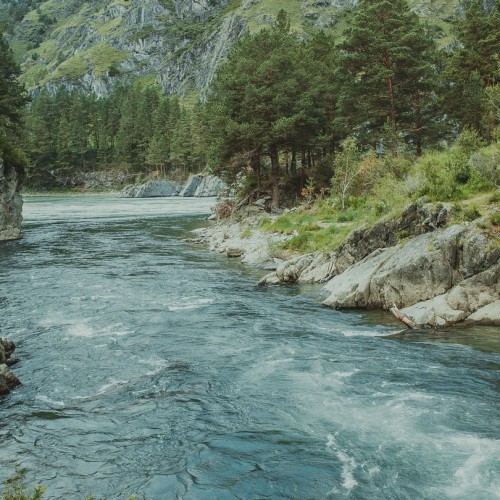 Алтай по максимуму: горные перевалы, прогулка по Телецкому озеру и высадка на Марсе