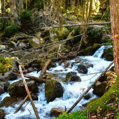 Прогулки по Домбаю: треккинги налегке к ущельям, горам и озёрам