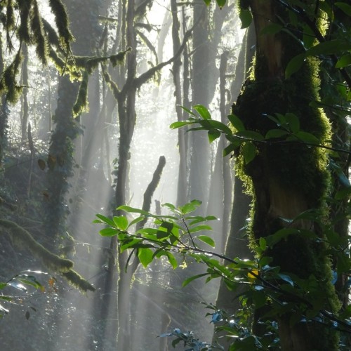Женское счастье: отдых, правильное питание и проживание с видом на горы