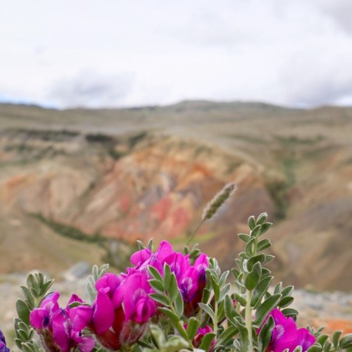 Алтайский Марс и Чуйский тракт за 2 дня в мини-группе