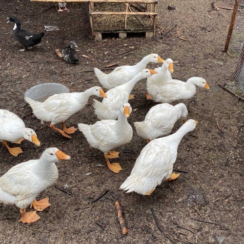 Вкусное путешествие на край света в мини-группе: Мурманск и Териберка