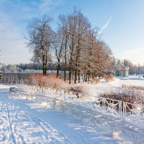 Поиск клада в Царском Селе