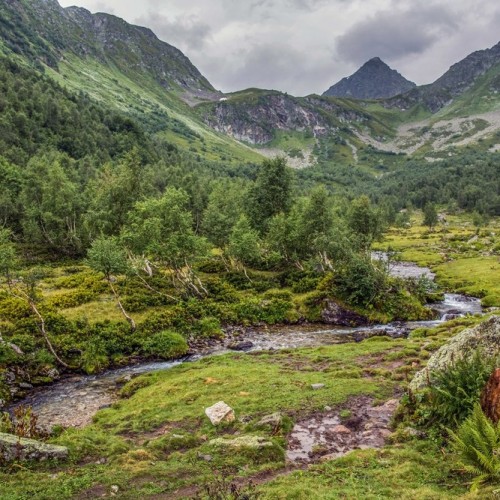 Если с другом вышел в путь: треккинги в Архызе в компании маламута (в мини-группе)