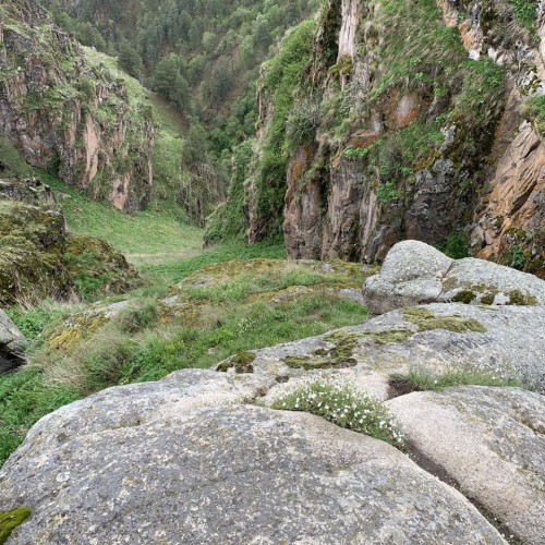 Кавказ 3 в 1: Эльбрус, Архыз, Домбай. Лёгкие треккинги, горы, нарзаны и знаковые места