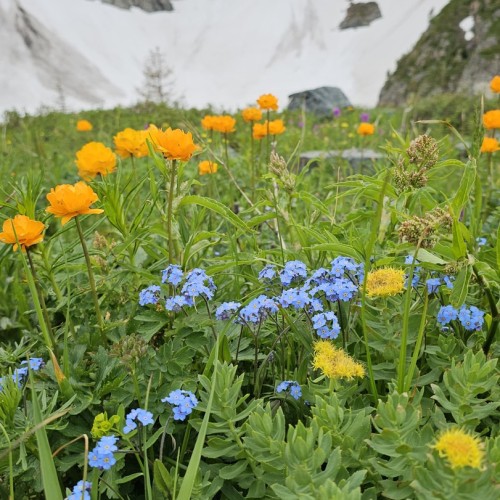 В мини-группе по Уймонской долине, прогулки в горах, Мультинские озёра, Камышлинский водопад