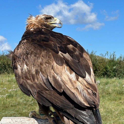 Путешествие на родину Чингисхана: Улан-Батор и нацпарк «Горхи-Тэрэлж»