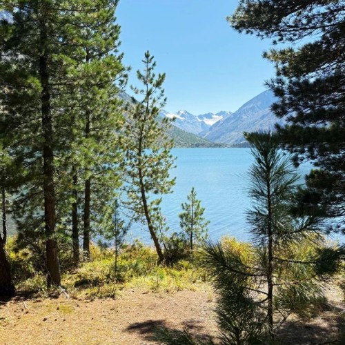 По озёрам, горам и степям с комфортом: 4 дня на Алтае