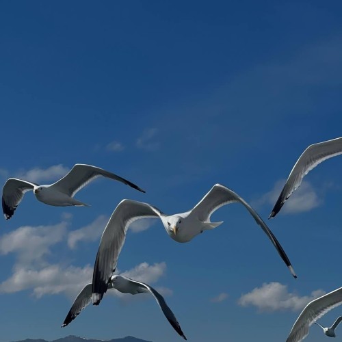 Кедровый аромат и лёгкость бытия: лучшие бани, спа-отель и винный вечер