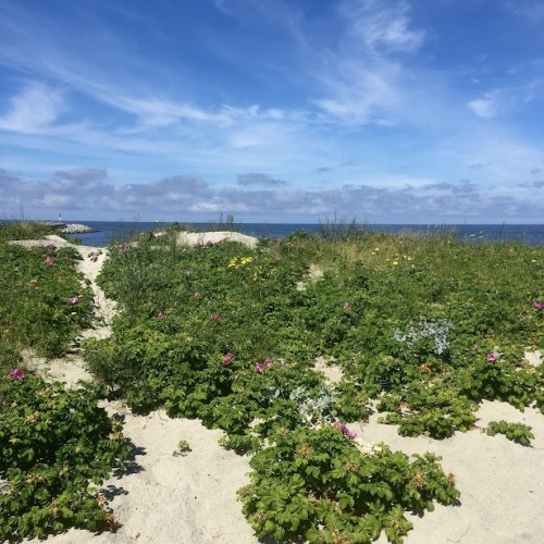 Погружение в историю Калининградской области: форты, боевые укрепления и бункеры