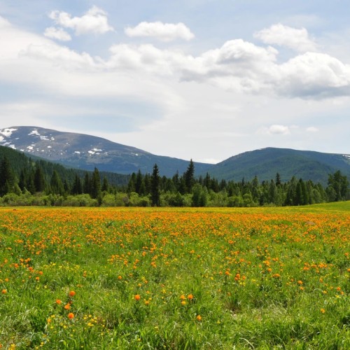 Выходные в инопланетном Алтае: Чуйский тракт, «Марс» и Гейзерное озеро