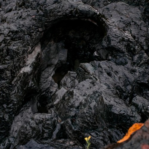 Алтай — активный: конная прогулка, лёгкий сплав и треккинг к горным озёрам + топовые локации