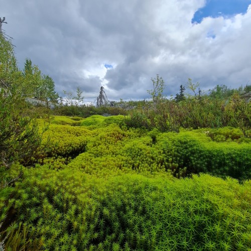 По Карелии на джипах в своей компании: «Марциальные воды», Гирвас и мистическая гора Воттоваара