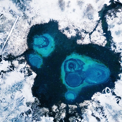 Трансфер + экскурсия: с корабля на бал, в прекрасный Горный Алтай!