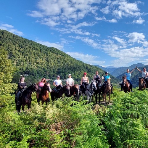 На лошадях по предгорьям Сочи: прогулки для новичков и опытных всадников