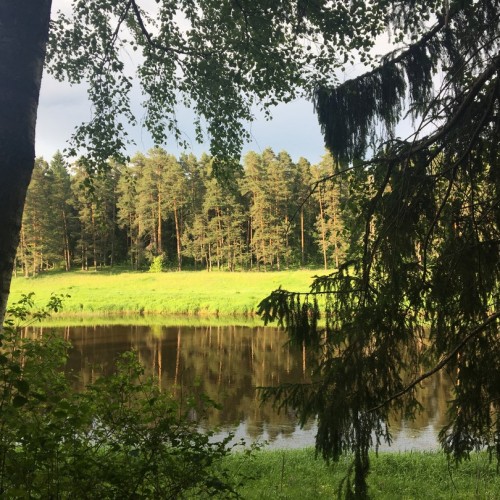 По тропам Торжокского района: пеший поход с рюкзаками