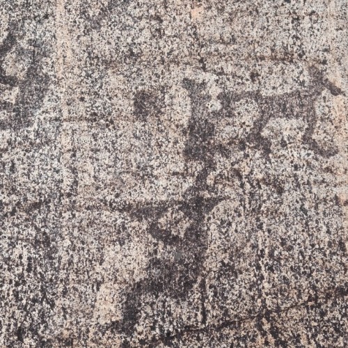 Ваше персональное путешествие вглубь веков: петроглифы, Кижи и Соловецкий монастырь