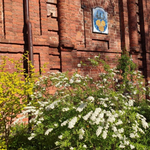 Старинные усадьбы, уютные города и природа: тур по живописным уголкам Новгородской области