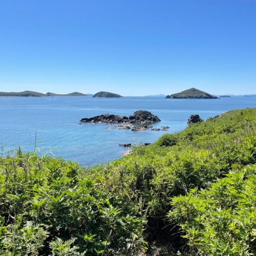 По волнам Японского моря на яхте с маской, сапом и деликатесами (мини-группа)